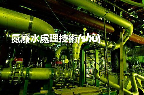 “氮廢水處理技術(shù)革新，綠色環(huán)保新篇章”